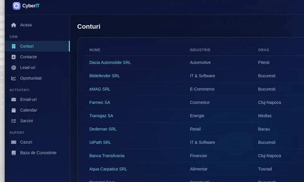 CyberIT CRM accounts